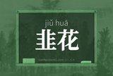 韭花