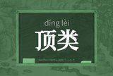 顶类