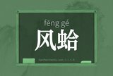 风蛤