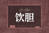 饮胆