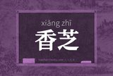 香芝