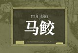 马鲛