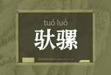 驮骡