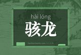 骇龙