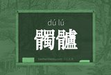髑髗