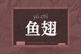 鱼翅