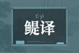 鳀译