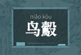 鸟鷇