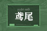 鸢尾