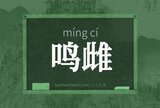 鸣雌