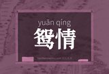 鸳情