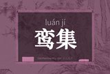 鸾集