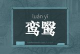 鸾鹥