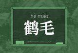 鹤毛