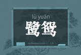 鹭鸳