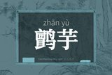 鹯芋