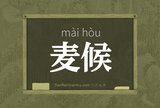 麦候