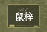 鼠梓