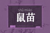 鼠苗