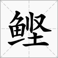 鲣